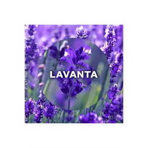 AirWick Elektrkl Oda Kokusu Cihaz+Yedek Şişe Lavan-