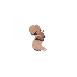 GOLDEN ROSE   STICK FOUNDATION NO:01-