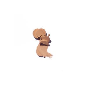 GOLDEN ROSE   STICK FOUNDATION NO:04-