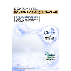 BİOBLAS 2Sİ 1 ARADA ÇİNKO VE MENTOL ŞAMPUAN 360ML-