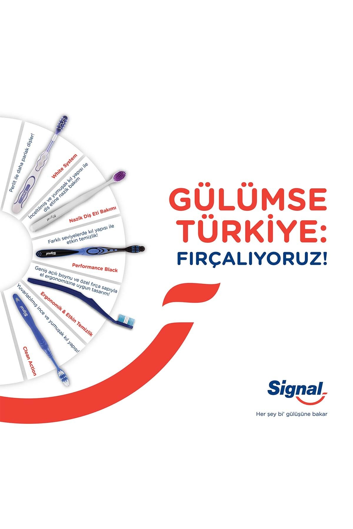 SİGNAL SİGNAL PERFO BLACK 1+1 DİŞ FIÇASI-