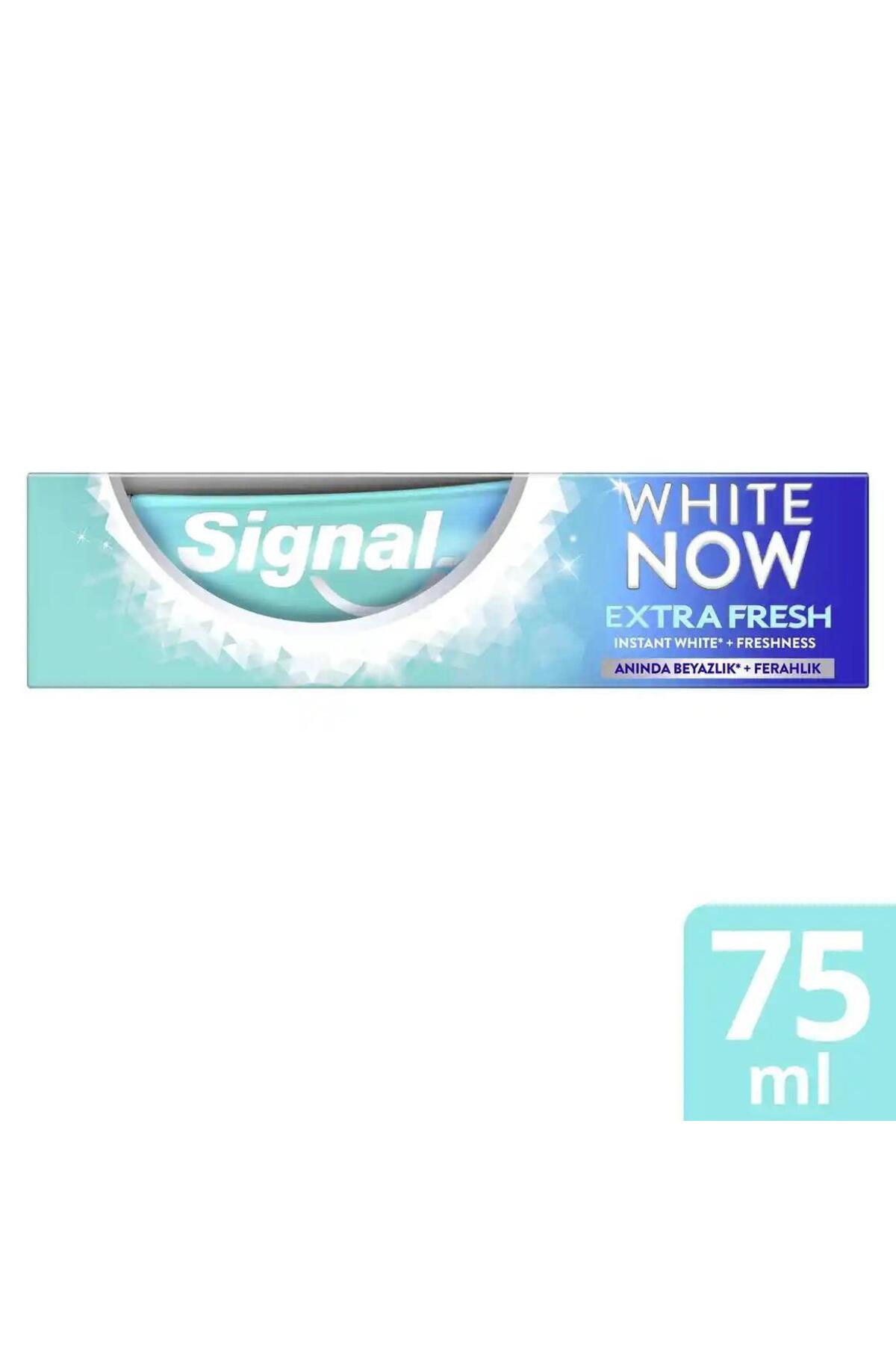 SİGNAL WHİTE NOW EXTRA FRESH ICE COOL DİŞ MACUNU-