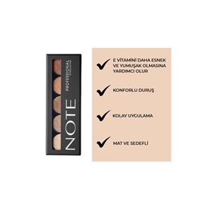 NOTE PROFESSİONAL FAR PALETİ NO.107-