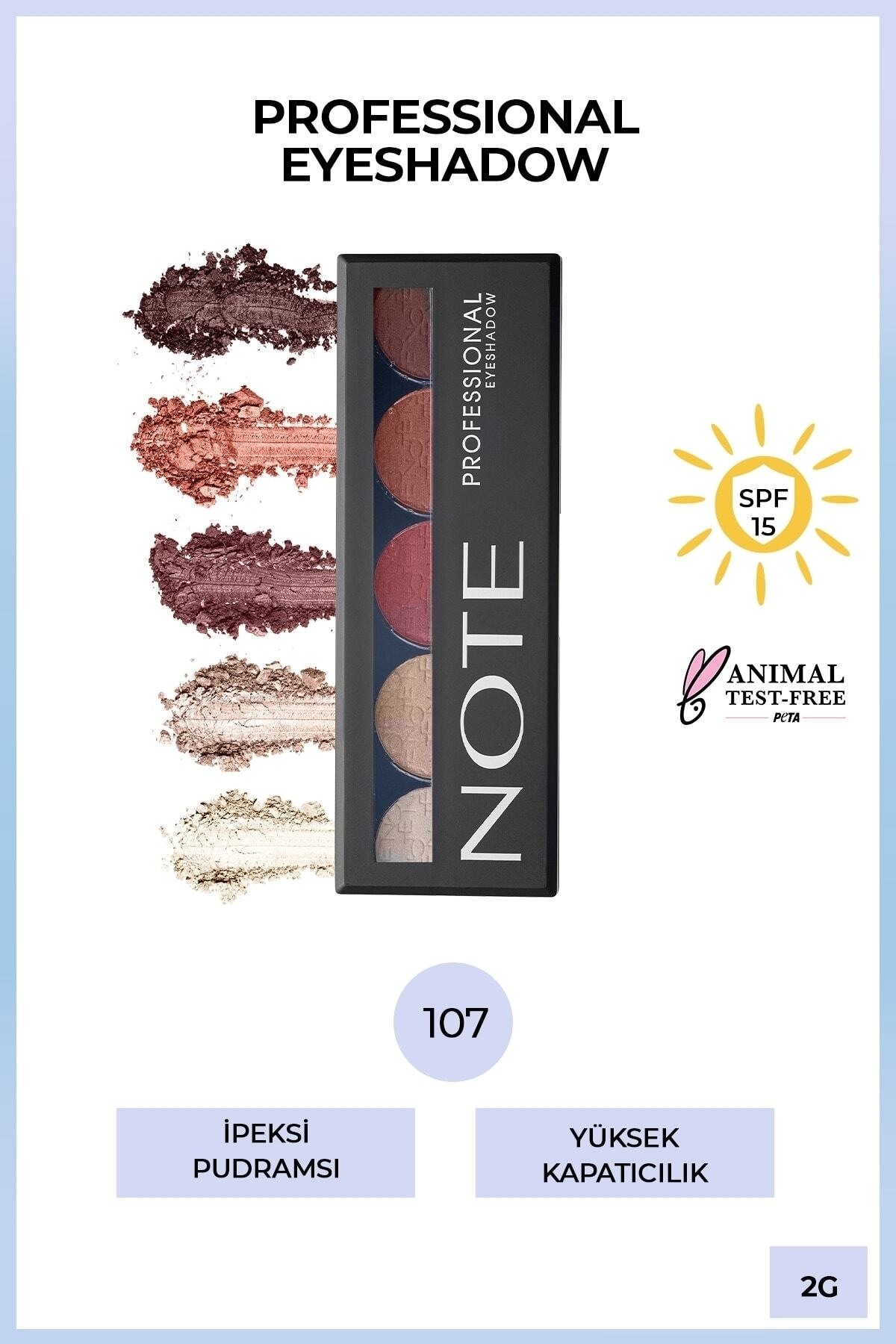 NOTE PROFESSİONAL FAR PALETİ NO.107-