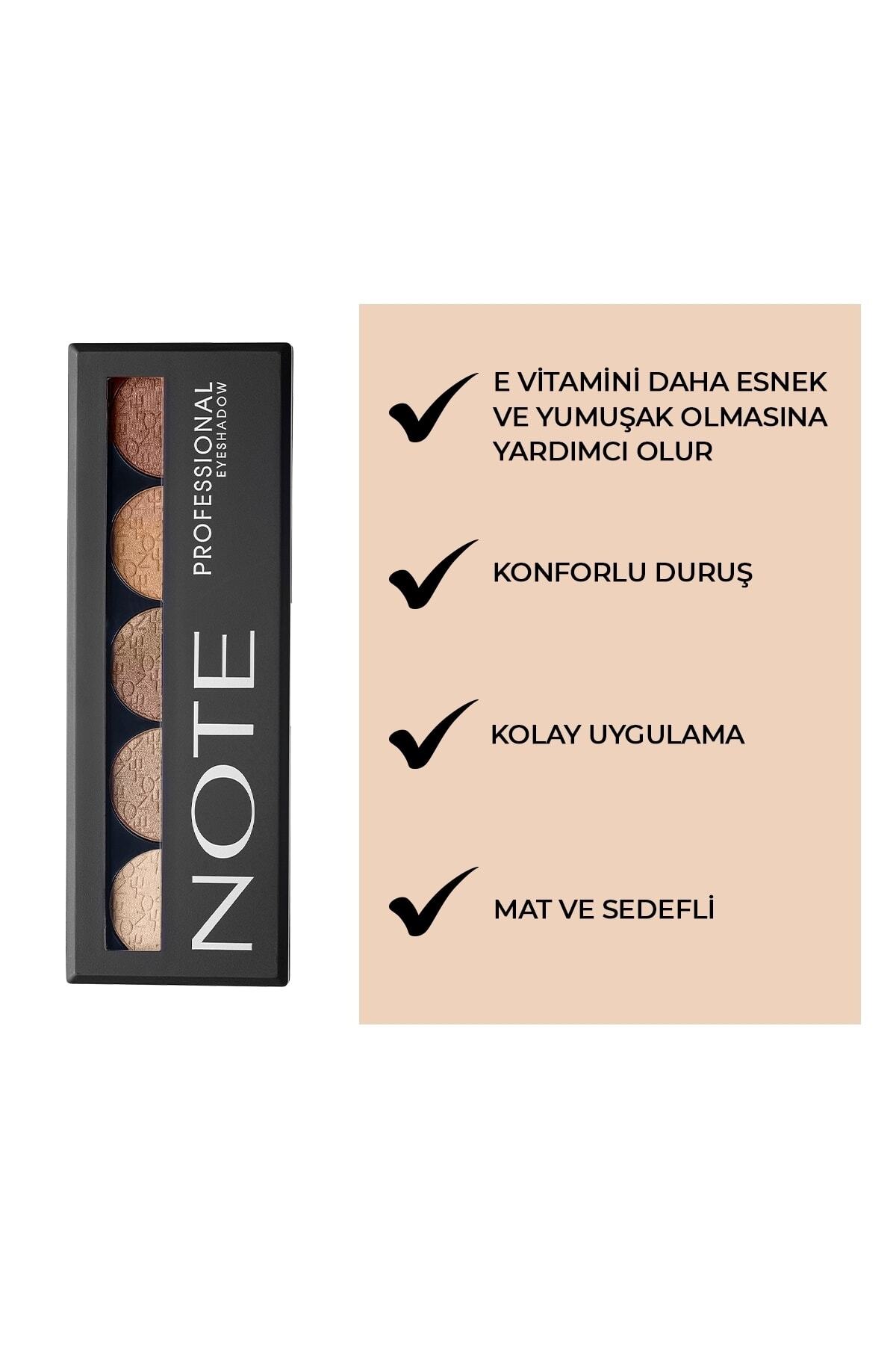 NOTE PROFESSİONAL FAR PALETİ NO.107-