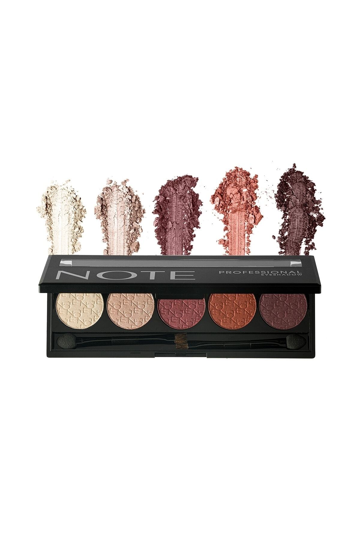 NOTE PROFESSİONAL FAR PALETİ NO.107-