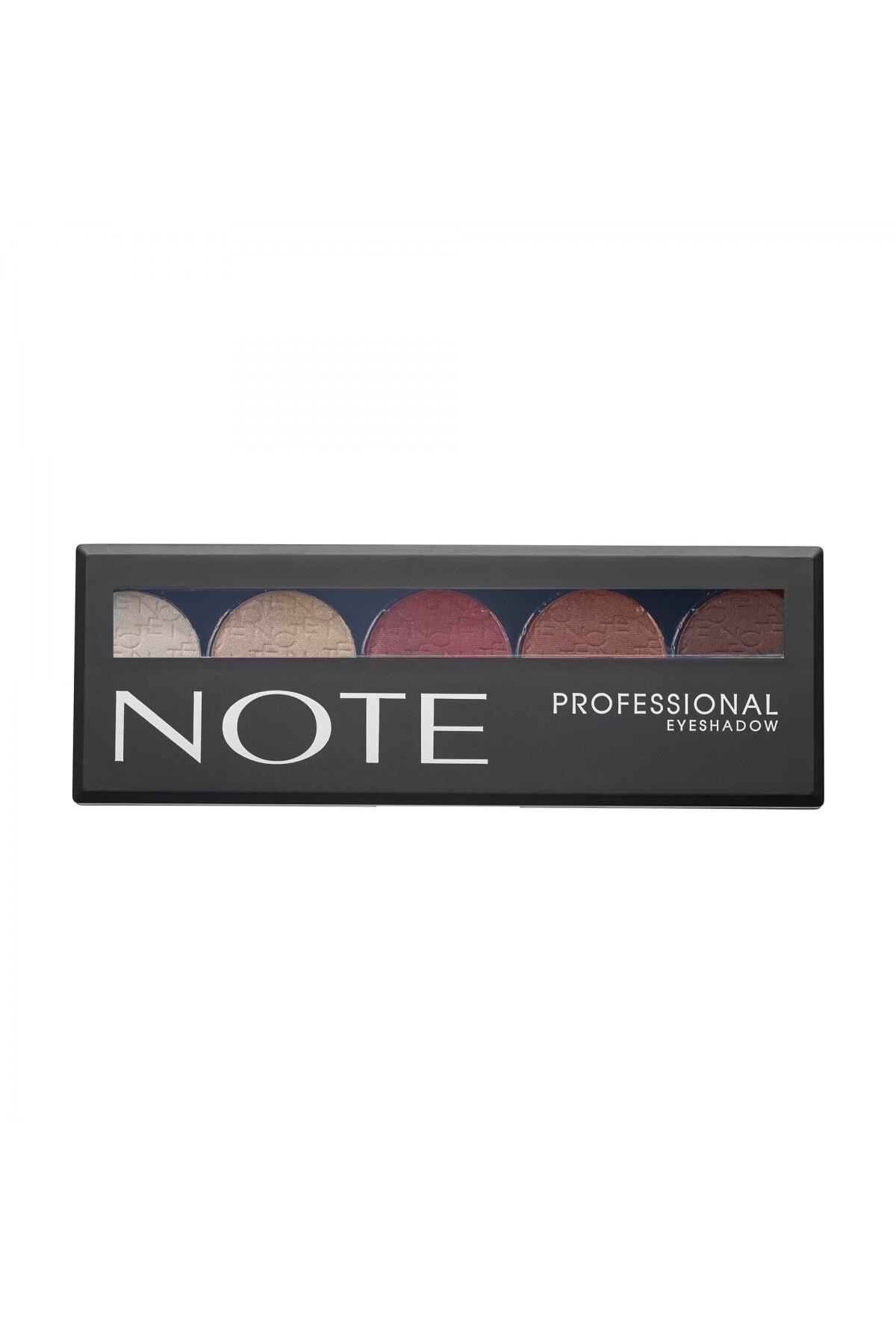 NOTE PROFESSİONAL FAR PALETİ NO.107-