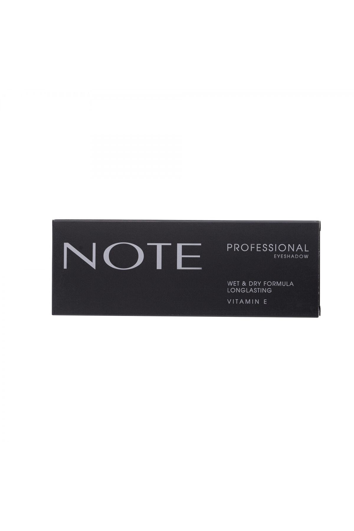 NOTE PROFESSİONAL FAR PALETİ NO.107-