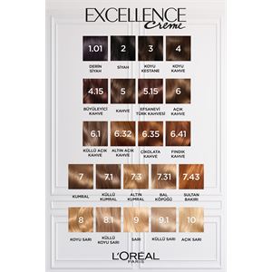 LOREAL PARİS EXCELLENCE 6 SAÇ BOYASI-