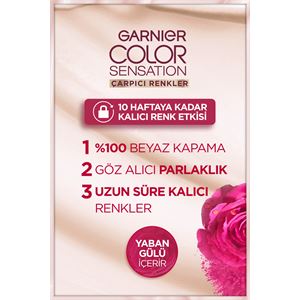 Garnier Çarpıcı Renkler 6.35 Altın Kahve Saç Boyas-