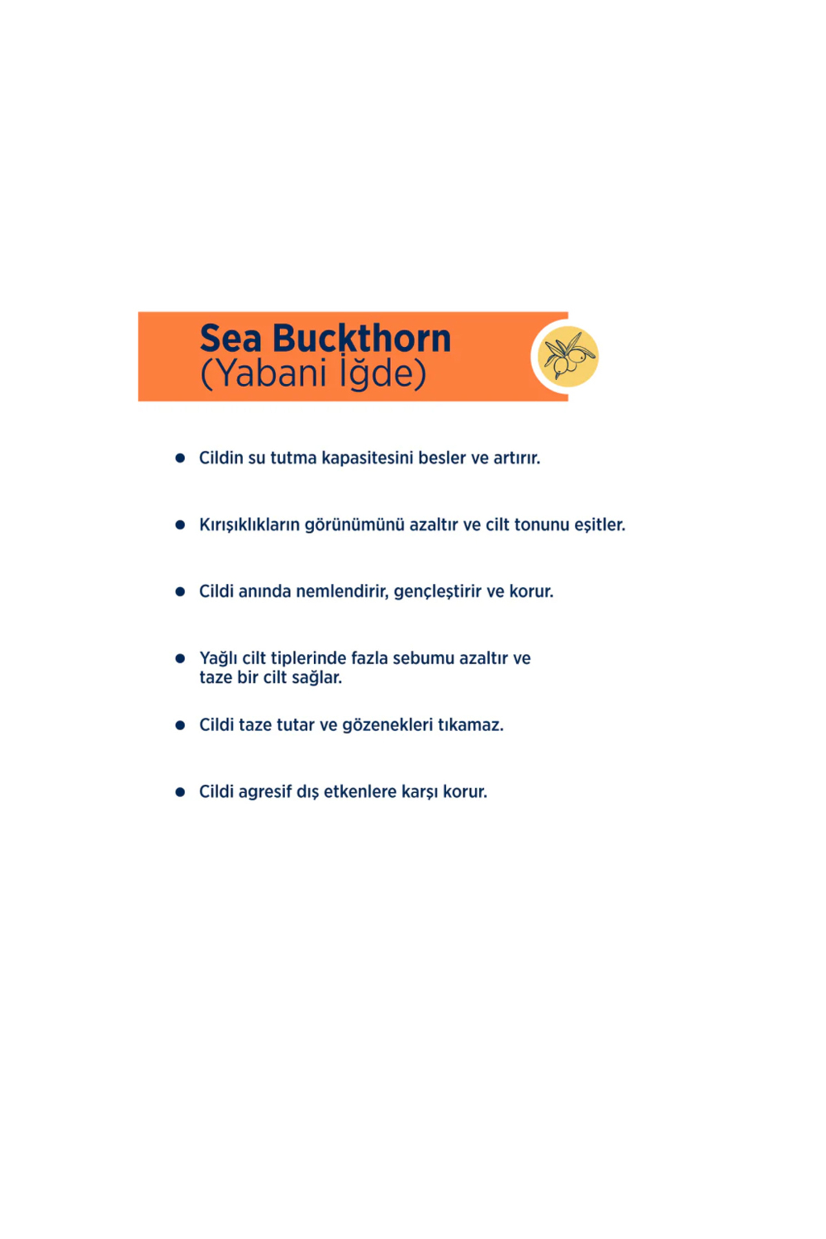 CELENES BY SWEDEN SEA BUCKTHORN TEMIZLEME SUYU 250ML YAGLI/KARMA-