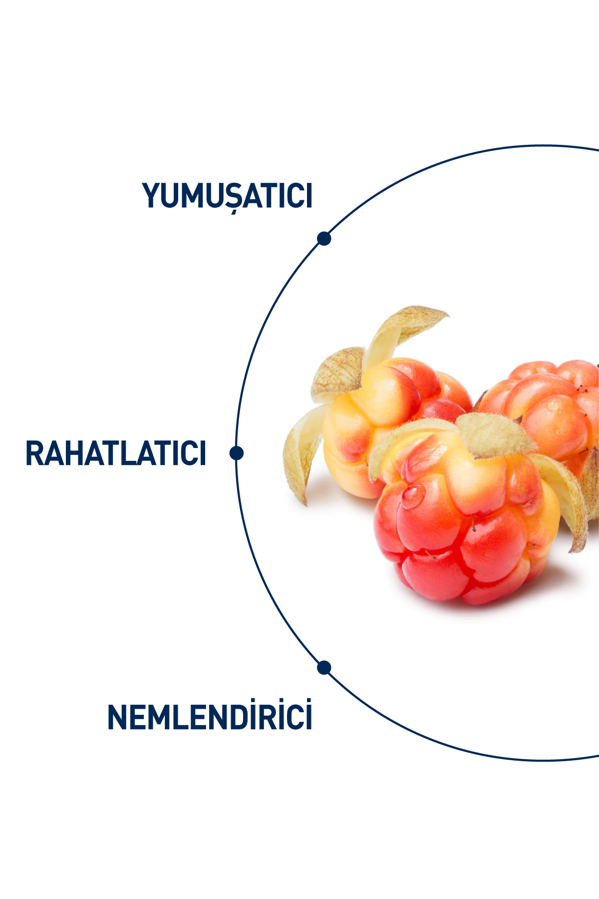CELENES BY SWEDEN YOĞUN NEMLENDİCİ VE YATIŞTIRICI CLOUDBERRY MİSEL TEMİZLEME SUYU KURU VE HASSAS CİLTLER 250 ML-