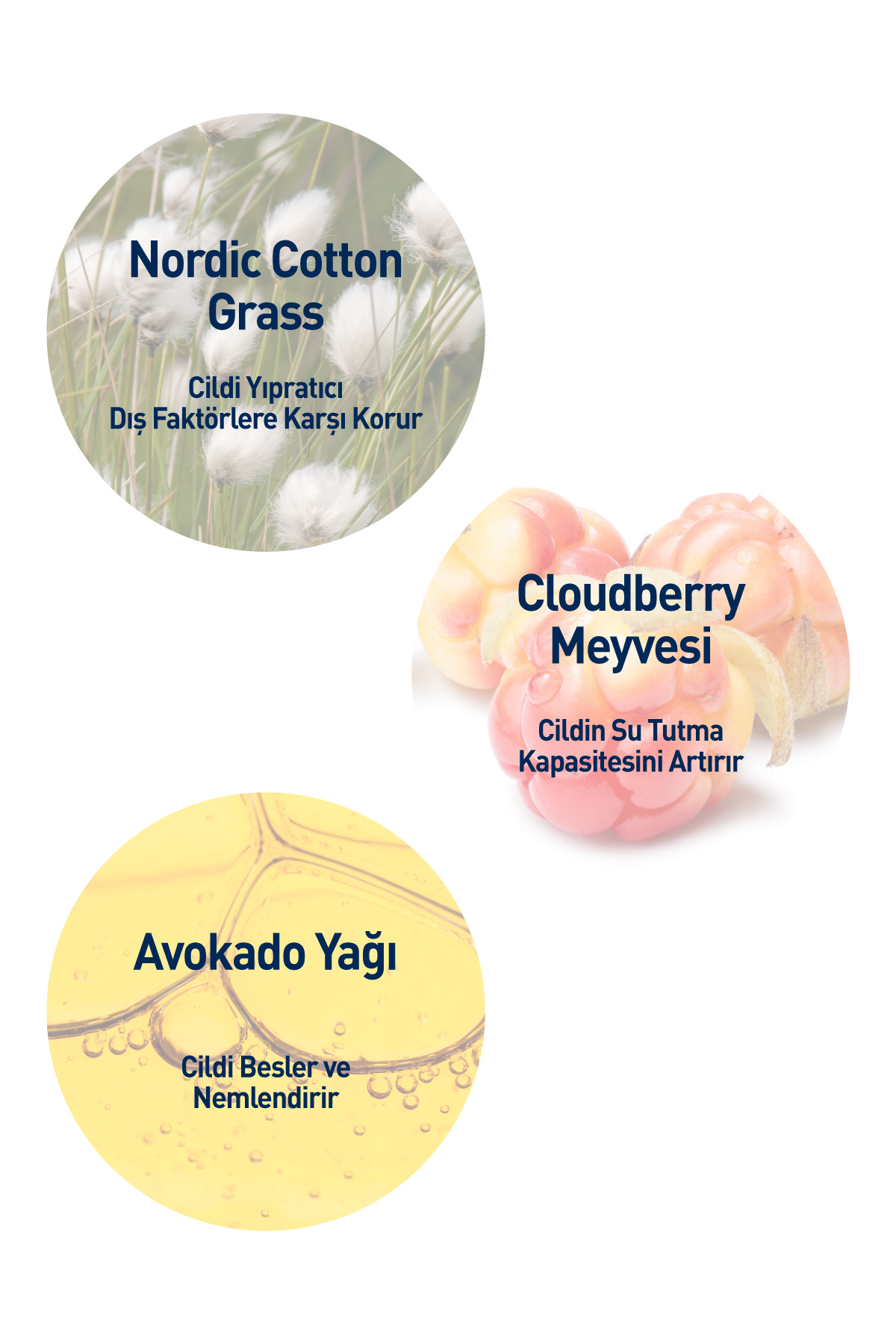 CELENES BY SWEDEN YOĞUN NEMLENDİRİCİ CLOUDBERRY EL BAKIM KREMİ KURU VE HASSAS CİLTLER 75 ML-