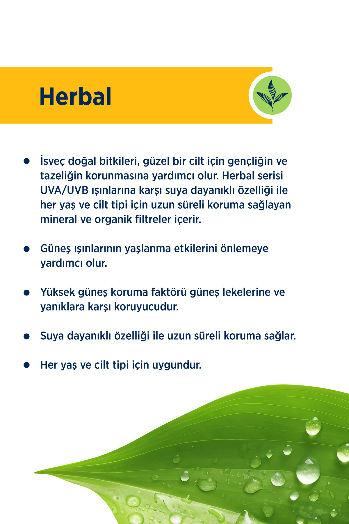 CELENES BY SWEDEN HERBAL DRY TOUCH SPF 50 MAT BİTİŞLİ RENKLİ GÜNEŞ KREMİ - YÜZ VE DEKOLTE BÖLGESİ 50 ML-