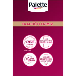 PALETTE DELUXE 6-70 KAHVE BAKIR  SAÇ BOYASI-