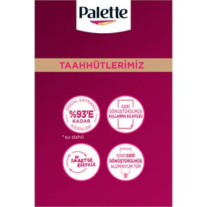 PALETTE DELUXE YOĞUN RENKLER 7-887 ATEŞ KIZILI SAÇ BOYASI-