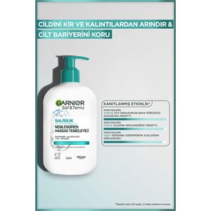 Garnier Saf& Temiz Nemlendiren Temizleyici 250ml-