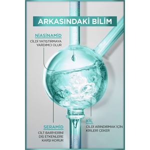 Garnier Saf& Temiz Nemlendiren Temizleyici 250ml-