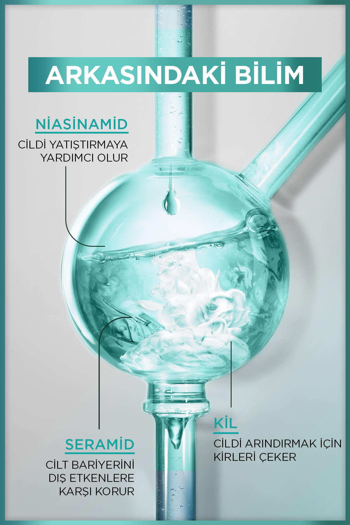 Garnier Saf& Temiz Nemlendiren Temizleyici 250ml-