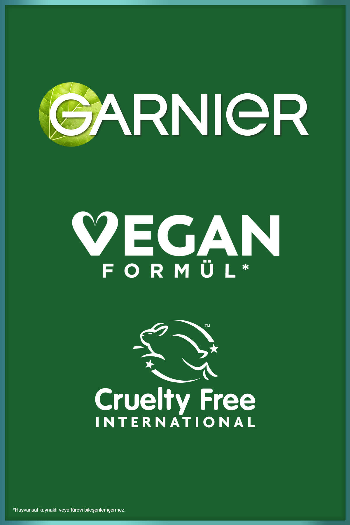 Garnier Saf& Temiz Nemlendiren Temizleyici 250ml-