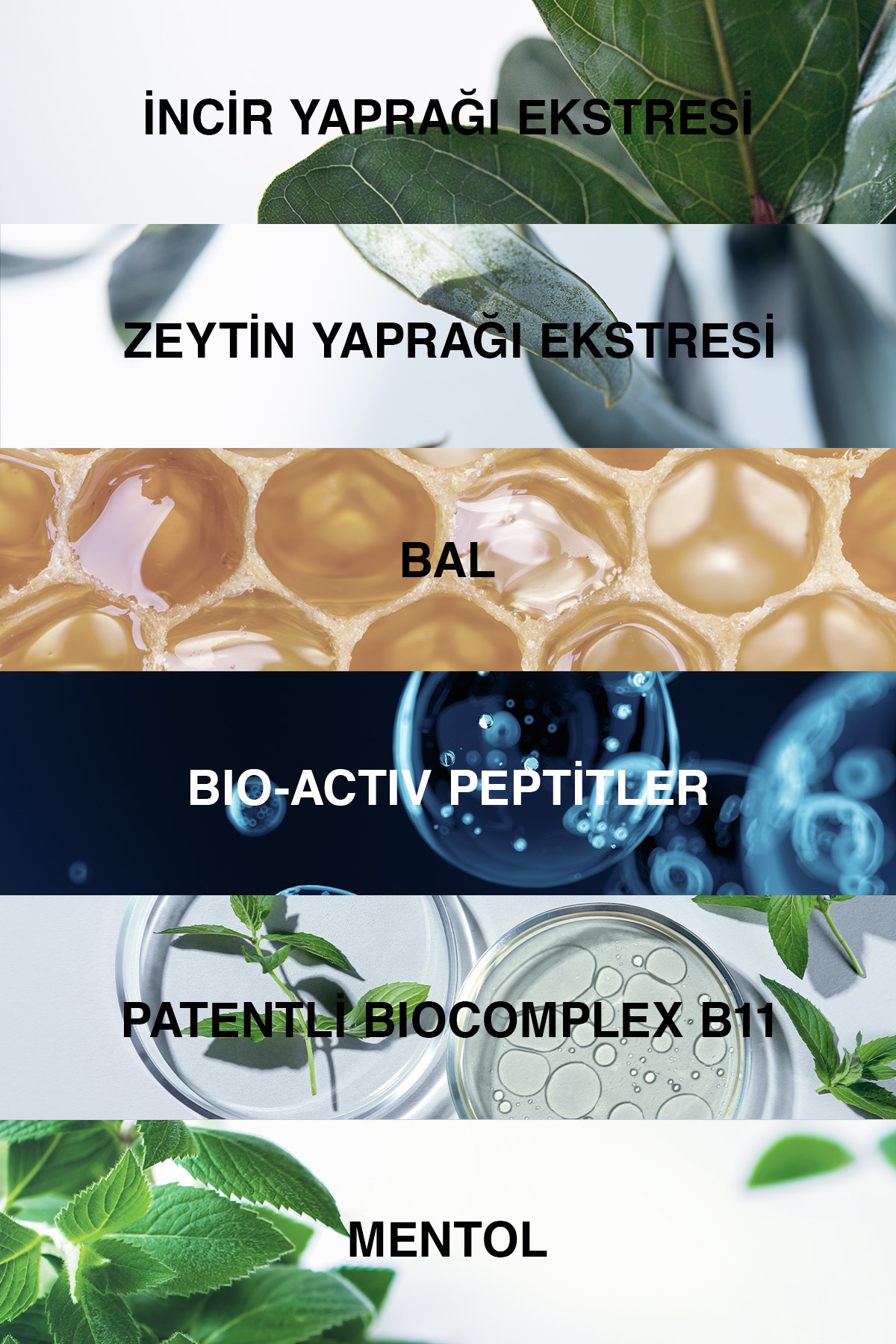 BİOXCİN GENESİS KURU VE NORMAL SAÇLAR IÇİN ŞAMPUAN-
