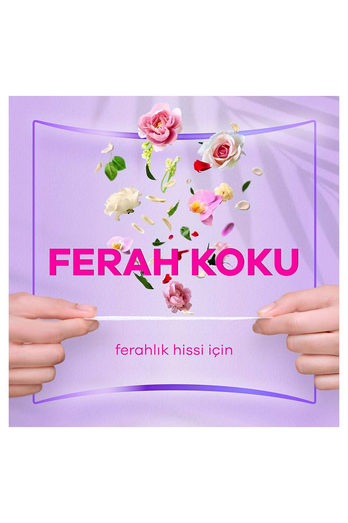 Orkid Yaprak Pamuksu Günlük Ped Deo Fresh Dev Ekon-