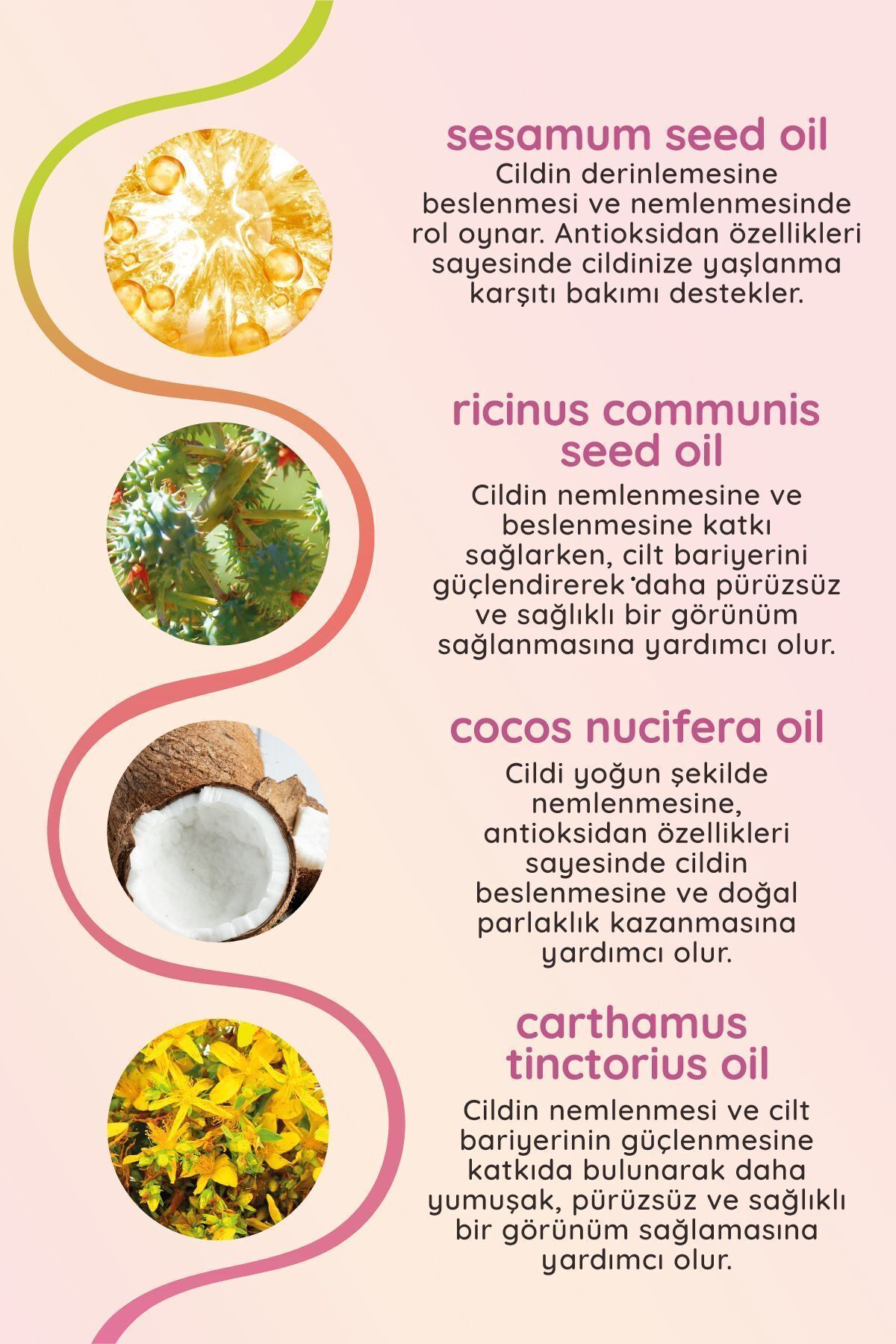 Everyday BeautyVa Va Voom Canlandırıcı Kirpik Ve K-