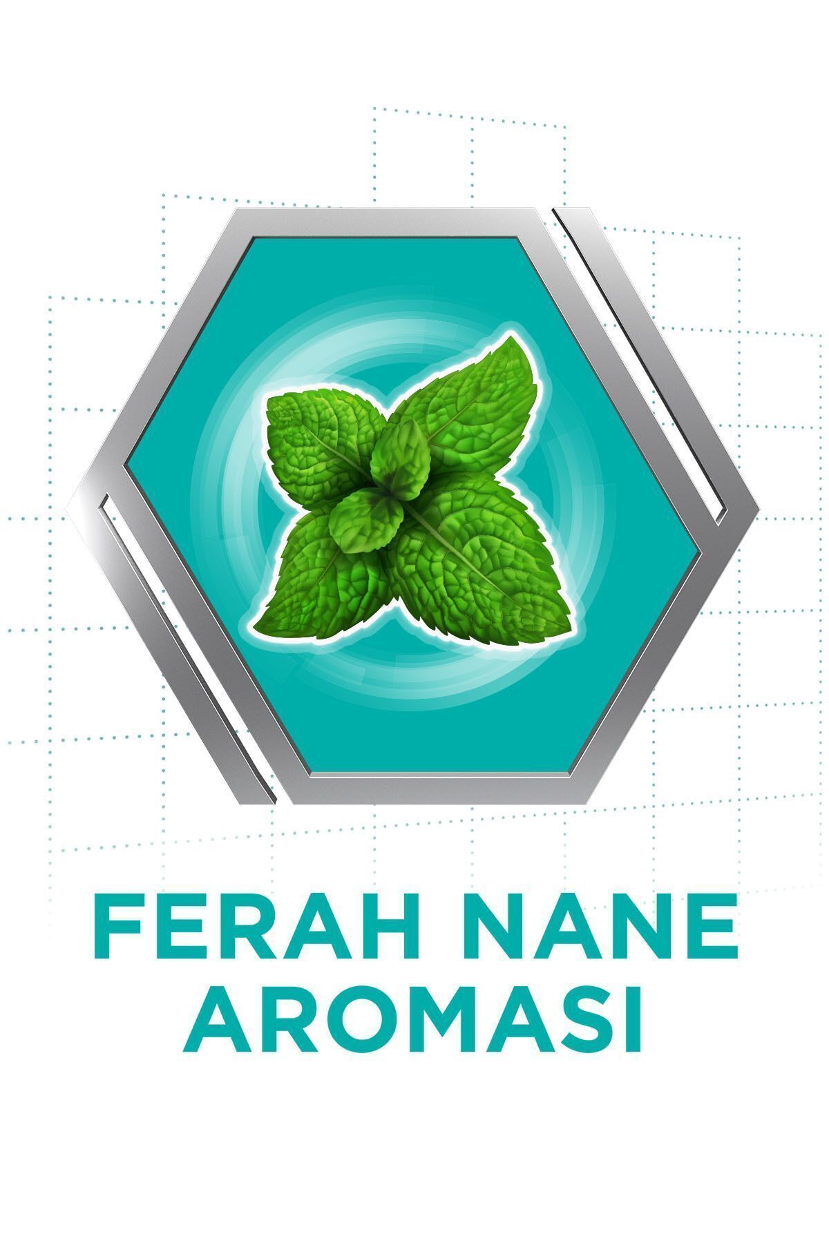 Corega Süper Protez Yapıştırıcı Krem Naneli 40gr-