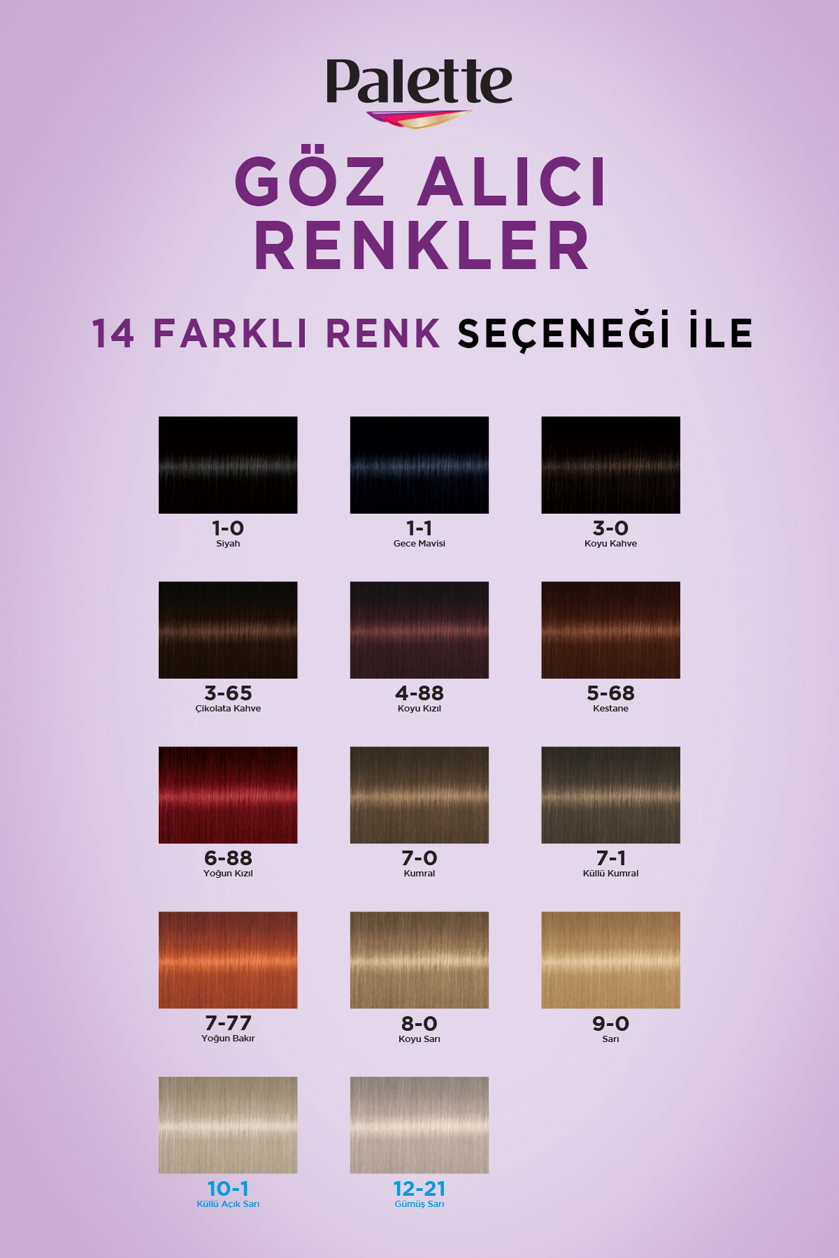 PALETTE GÖZ ALICI RENKLER SAÇ BOYASI NO: 1.0 SİYAH-