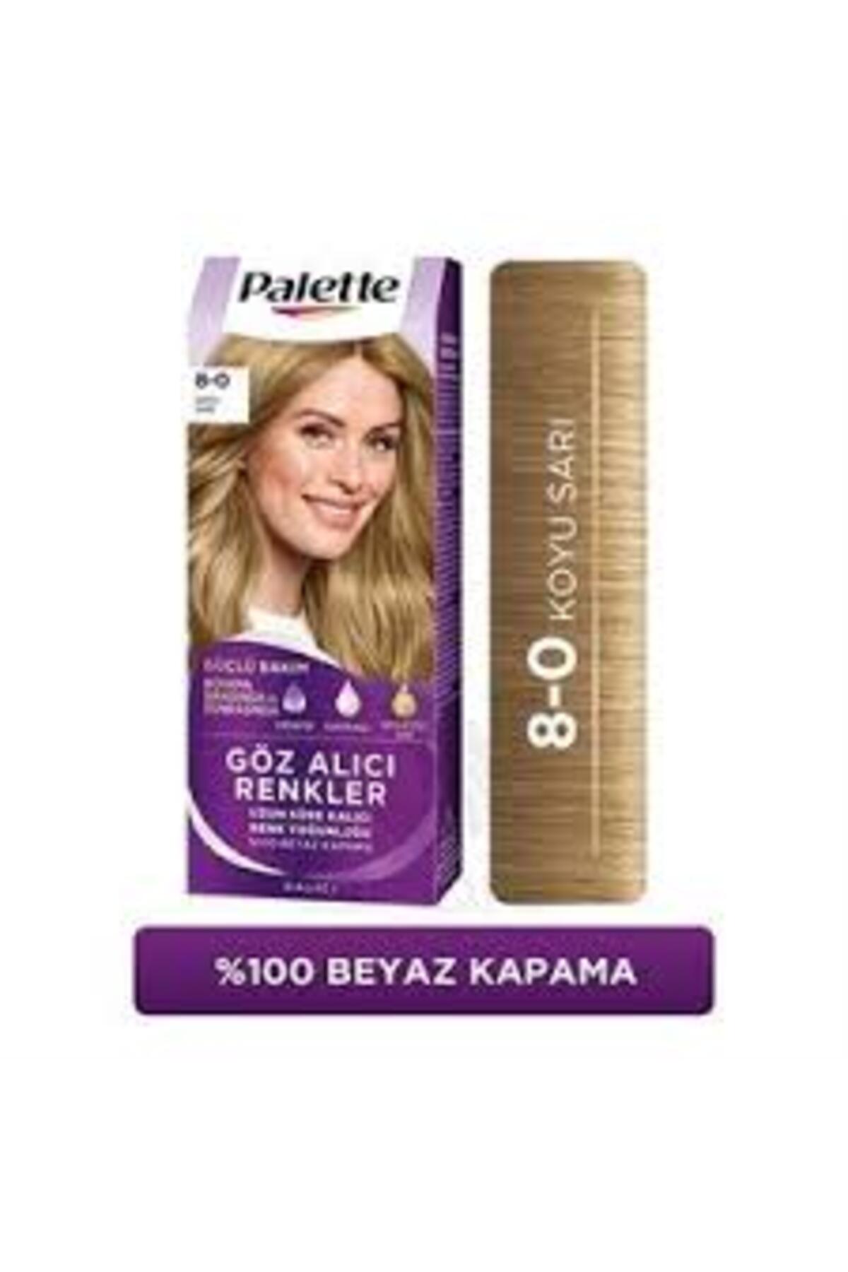 Palette Göz Alıcı Renkler Saç Boyası No: 10.1 Küll-