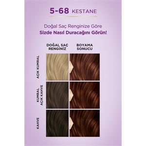 Palette Göz Alıcı Renkler Kestane Saç Boyası 5-68-