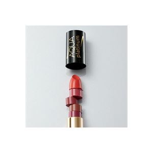 PLATINUM LIPSTICK NO 478-