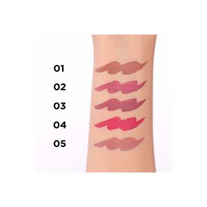 VARIETE GEL LIP LINER PENCIL MATT WATERPROOF NO2 P-