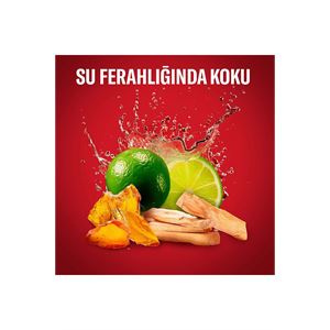 OLD SPİCE WHİTEWATER ERKEKLER IÇİN DUŞ JELİ VE ŞAM-