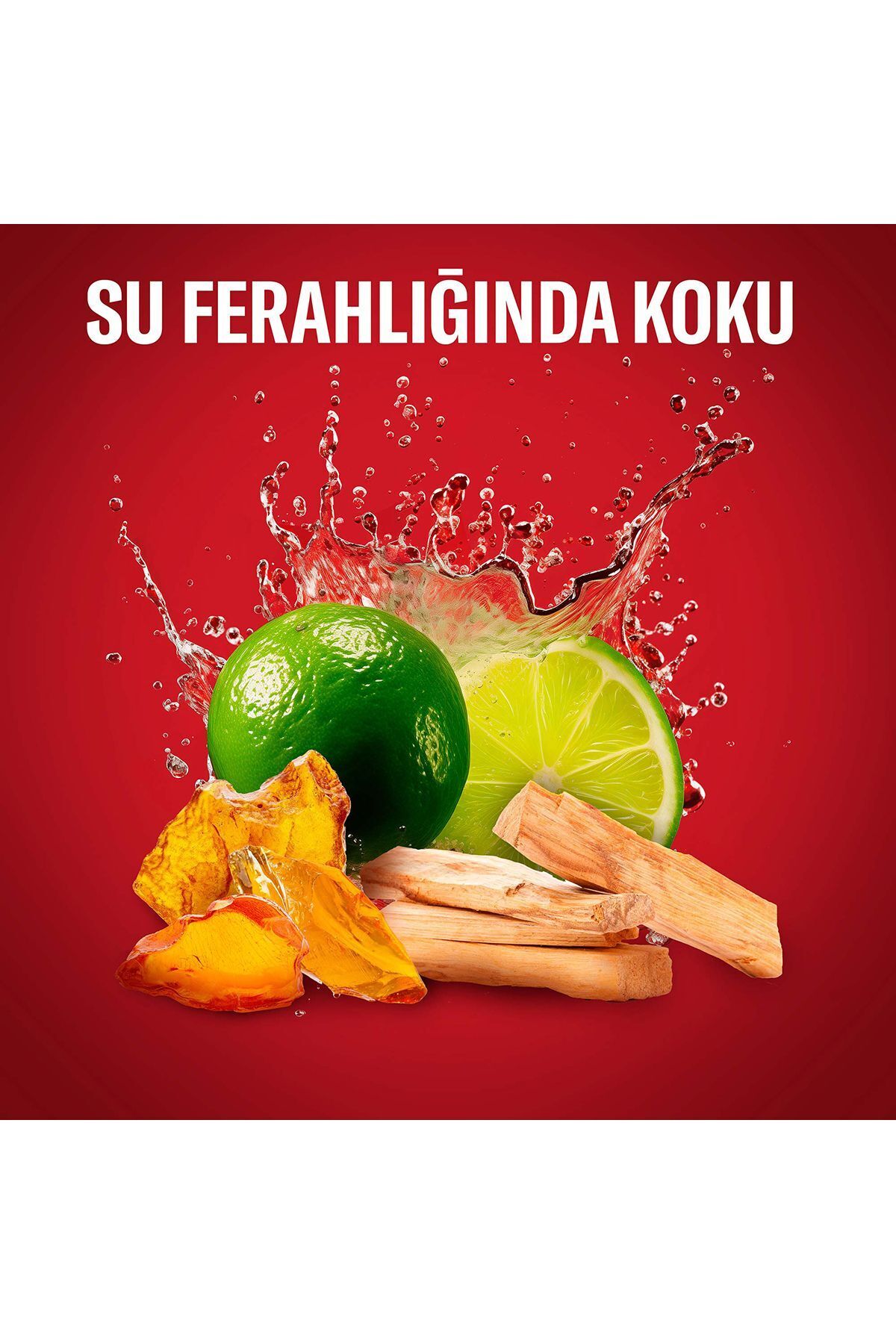 OLD SPİCE WHİTEWATER ERKEKLER IÇİN DUŞ JELİ VE ŞAM-