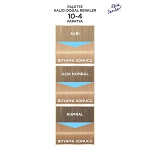 PALETTE KALICI DOĞAL RENKLER 10-4 PAPATYA-