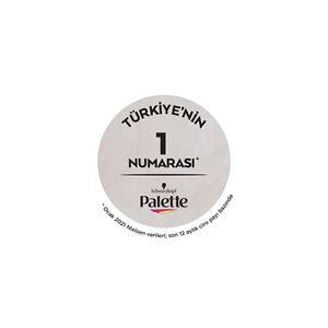 PALETTE KALICI DOĞAL RENKLER 10-4 PAPATYA-