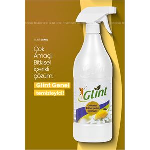 Glint Yağ Çözücü ve Kireç Sökücü-