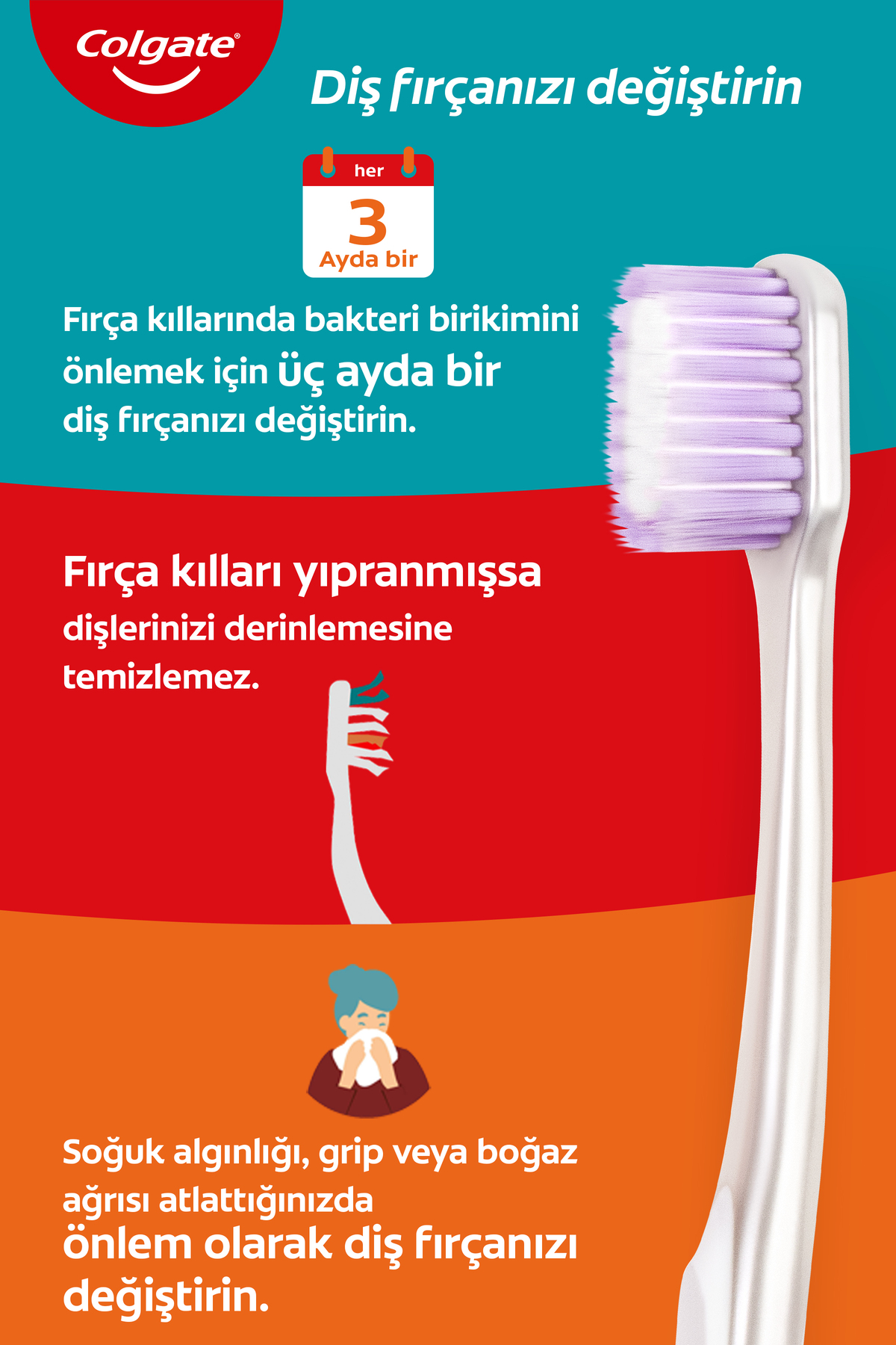Colgate Gentle Clean 2+1 Diş Fırçası Hassas Yumuşak-